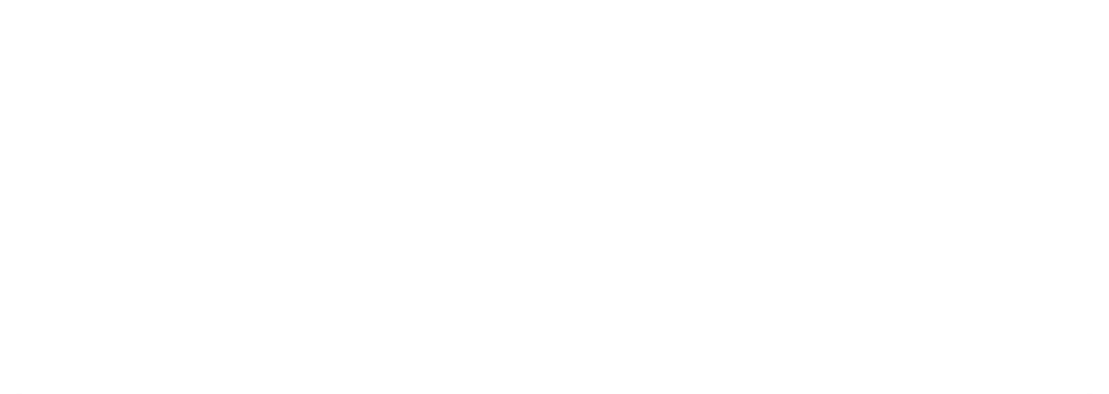 Google Premier Partner
